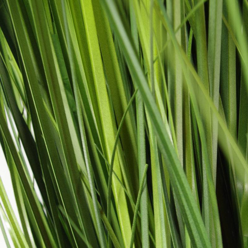 Angeleah 130cm Faux Onion Grass Tree in Ceramic Planter