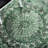 Dragon Marquee Hand Tufted Performance Oriental Rug-926821262