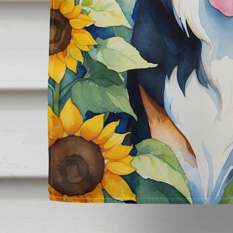 Drapeau de la maison du tournesol Malamute d'Alaska, Bouvier bernois