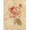 «Rose on Cracked Lin Crop» par Cheri Blum - reproduction