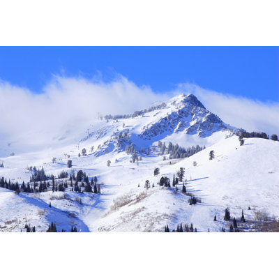 " Snowbasin Resort, Utah " by Dperkphoto