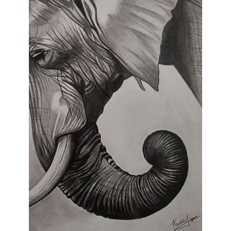Éléphant fort avec des yeux paisibles, dessin au fusain sur papier - Art animalier indien de 11,7 po x 8,7 po par Krutik Jangir