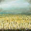 Golden Fields Print by Beverly Fuller-25799867-25799869