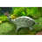 Efrain Metal Turtle with Butterfly Garden Statue