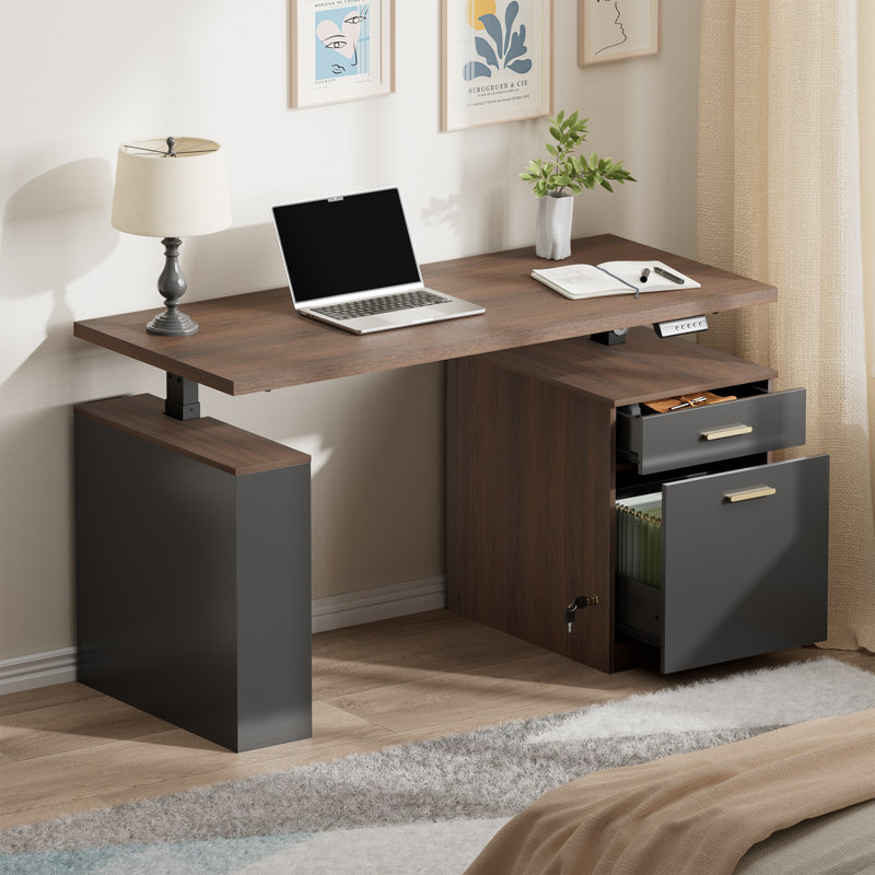 53" Electric Height-Adjustable Standing Desk With 2-Drawer & Open Storage, Built-In Charging, Privacy Panel – Executive Desk For Home Office