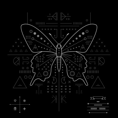 Butterfly on Black Background 1 Piece Wrapped Canvas Wall Art