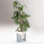 Riviera Ceramic / Porcelain Table Vase-428184657