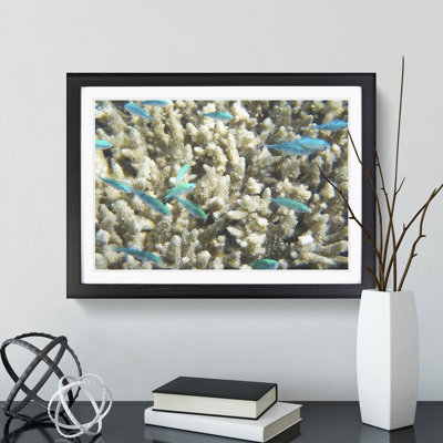 Coral Reef and Blue Fish - Picture Frame Graphic Art