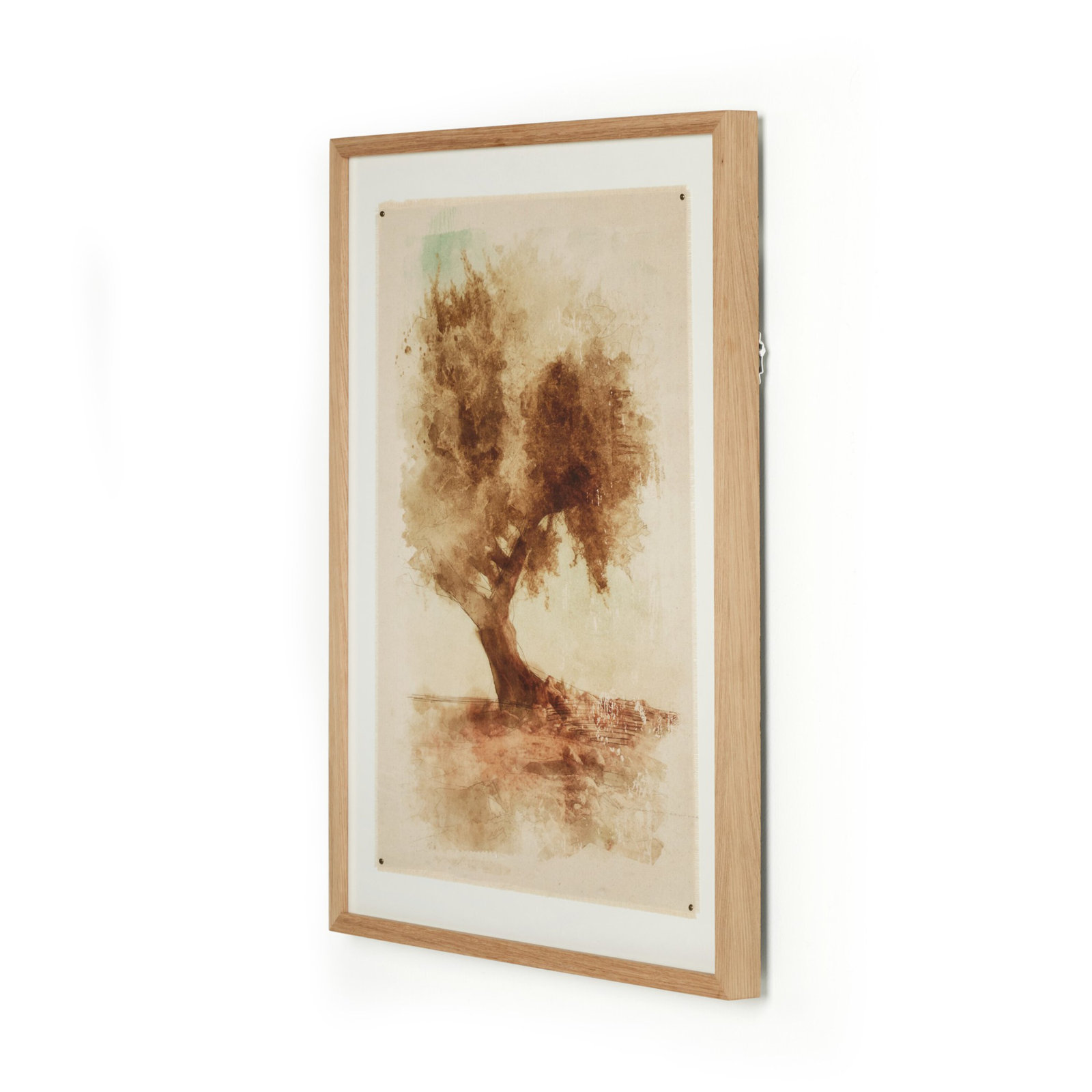 Undone Cypress by Coup D'esprit, 24'' H x 18'' W x 1.5" D