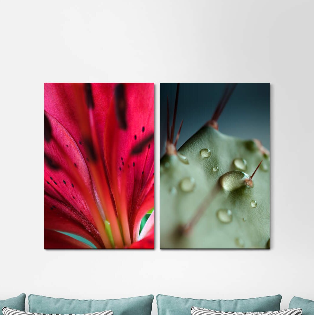 2-tlg. Leinwandbilder-Set - Grafikdruck „Orchid Blossom Cactus Raindrops Focus”