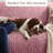 Stretchy Slipcover for Sofa – Machine Washable & Furniture Protector - Comfort Collection-88359767-88359764