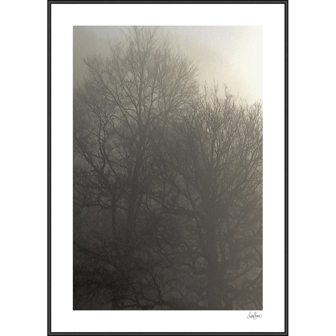 Gerahmtes Poster „Misty Tree III“, Fotodruck