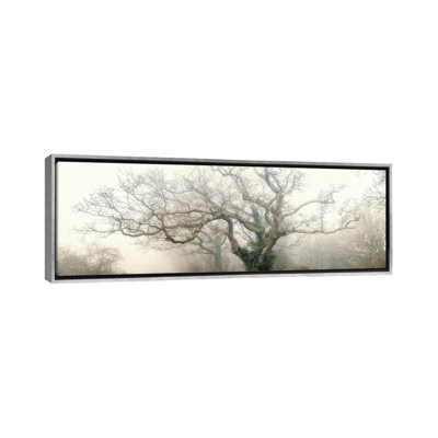 " Panoramic Octopus Ghost Oak " by Philippe Manguin