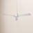 52" 3 Blade Smart Ceiling Fan with Remote Control Included-48461465-48461461