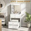 60 cm W Chest of 2 Drawers