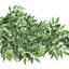 Ruscus artificiel italien Smilax
