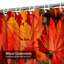 Rideau de douche Autumn Autumn-1237404138