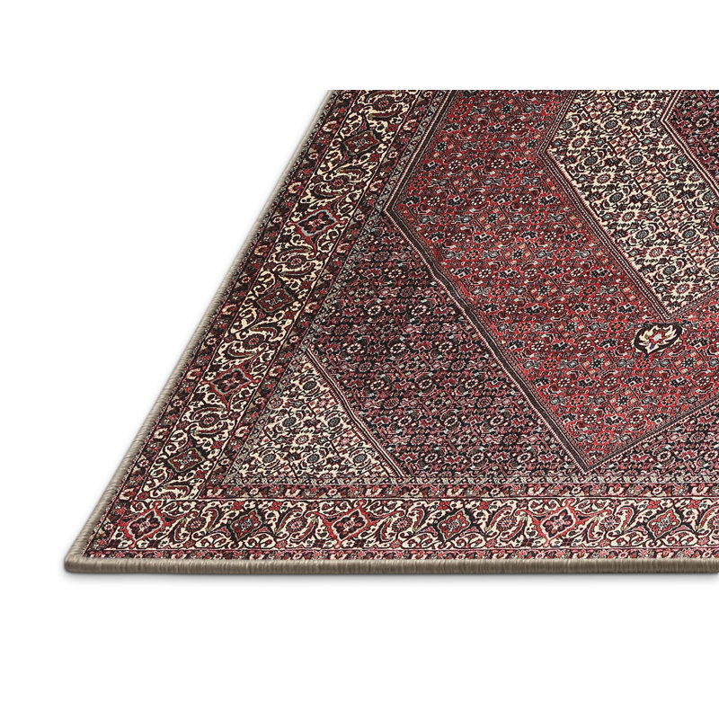 Akbar Oriental Indoor Rug, Rectangle 4' x 6'