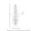 Arbre à plumes blanches-105229925