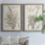 Sépia plantes exotiques III - ensemble de 2 reproductions de dessins encadrés-1000909434-1000909415