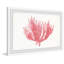 Lone Coral - Single Picture Frame Painting-561903728