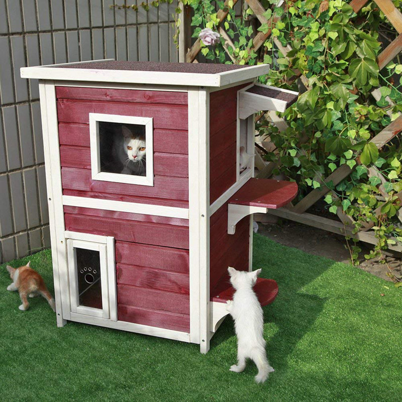 Chitose Cat House, Red