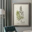 Antique Herb Botanical III - reproduction d'art sur toile encadrée-1119016897