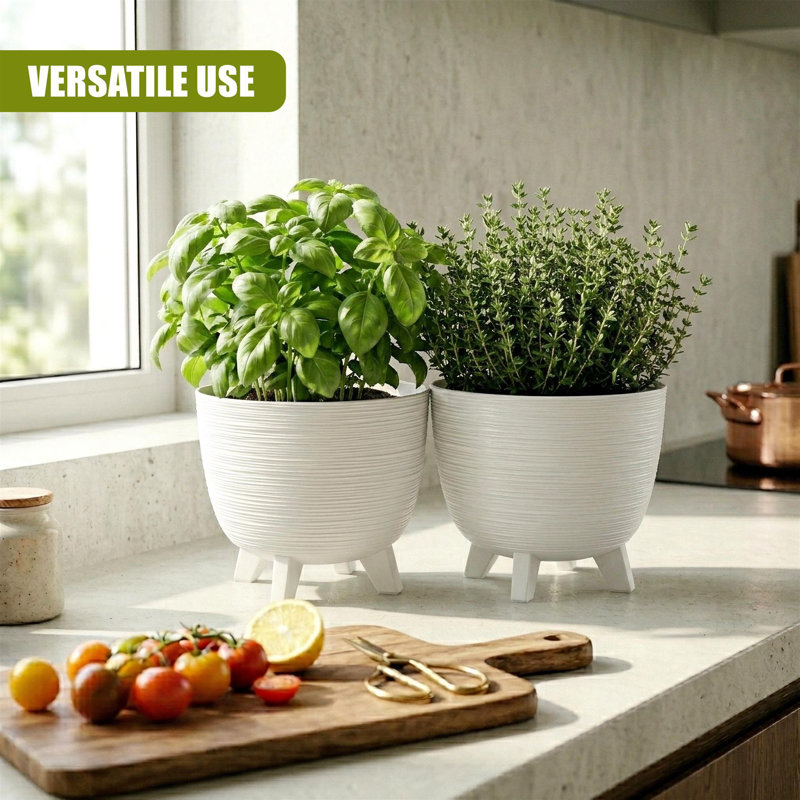 Pot Planter, 19.5cm H x 23.6cm W x 23.5cm D, White