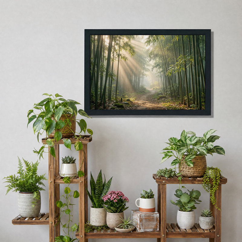Chemin de bambou baigné de soleil doré - Tableau sur toile, H 24 po x l 36 po