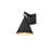Hendrix Outdoor Wall sconce in Black