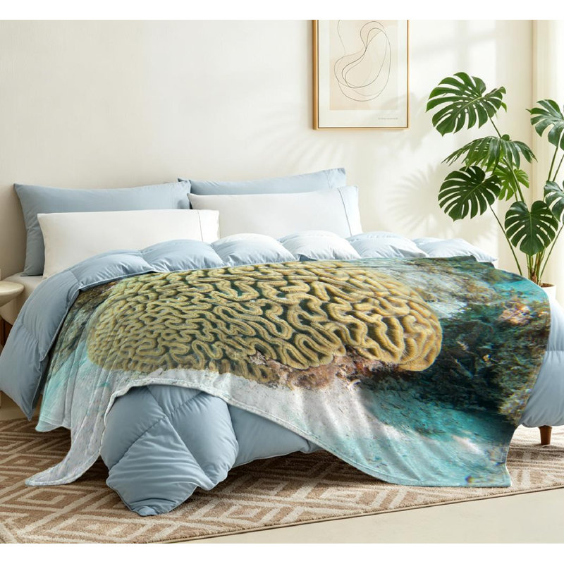 Jeté transparent en flanelle de polaire ultra douce, imprimé abstrait recto Brain Coral Sea, Jeté 50 po x 60 po