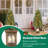 Jaspert 4' Lighted Christmas Tree