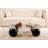 Modern Coffee Table with 100% Tempered Glass Top, 47.2 x 11.8 x 29.5 inches | Durable Polyurethane Casting Legs, Black & Bronze Finish | Stylish Design for Living Room & Contemporary Spaces, Easy to Clean