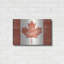 Red Barrel Studio® «Oh Canada Flag» par Sue Schlabach, art mural en métal-1790054350