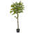 Faux Lemon Tree in Planter-24273043