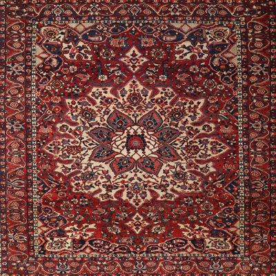 Jakayla Oriental Indoor Rug