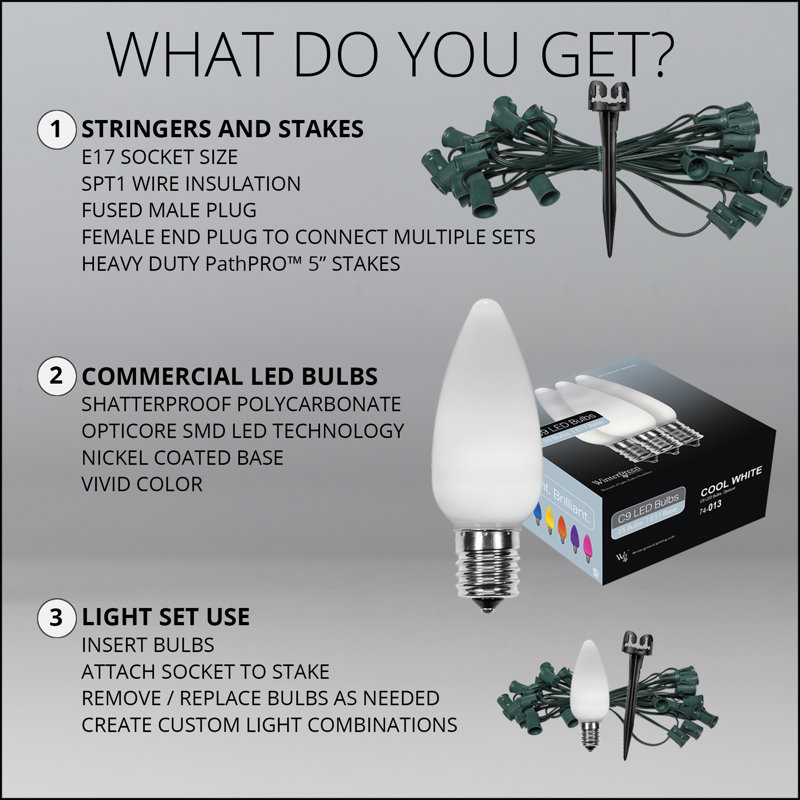 Plug-in Pathway Light, 100 feet, White