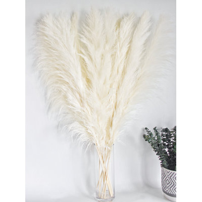 46 Plant