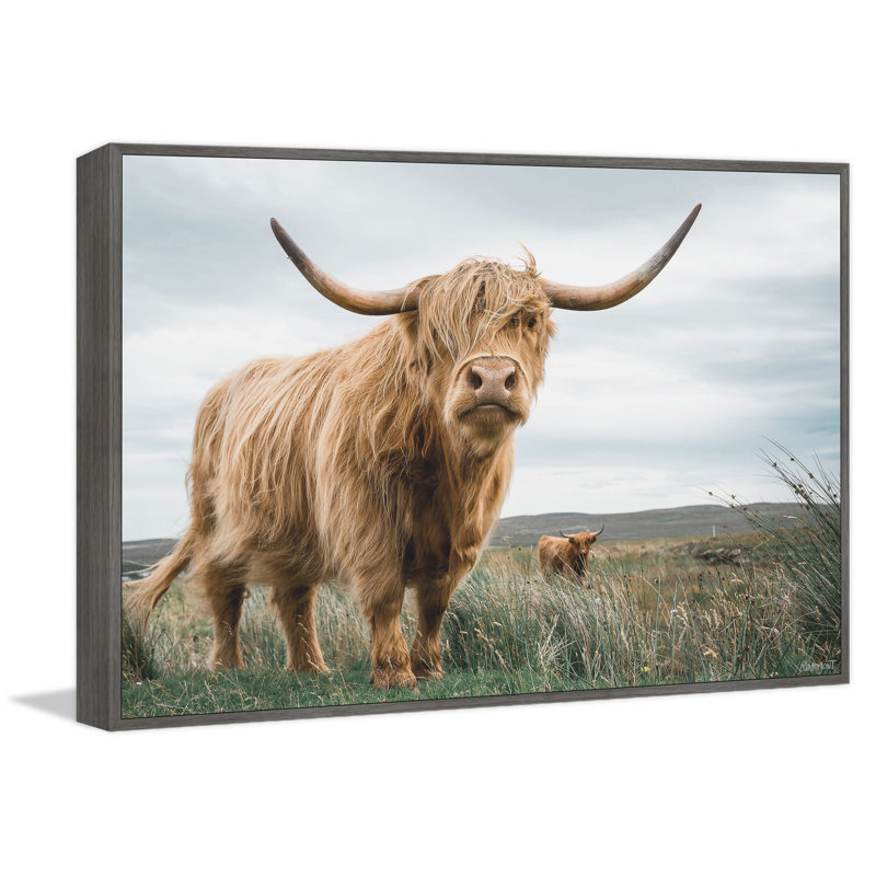 «Grazing Cattles», reproduction encadrée, Toile, Noir, L 18 po x H 12 po