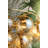 6-Light Chandelier
