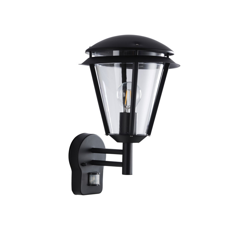 Nellie 38cm H Outdoor Wall Lantern, Matte Black