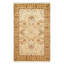 Oriental Area Rug in Beige