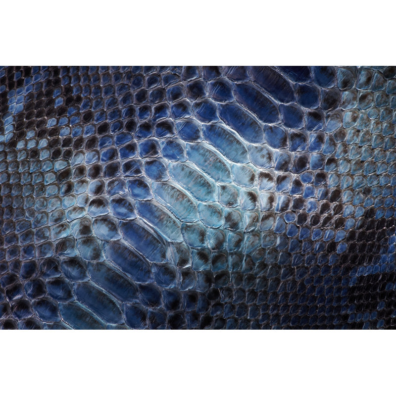 Snake Leather par Flux82 - Photographie sur toile tendue, L 36 po x H 24 po