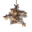 12 - Light Chandelier