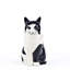 Flower Vase - Small - Cat - Barney