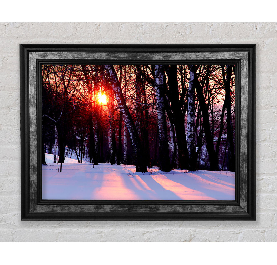 Winter Woodland Sun Gerahmter Druck