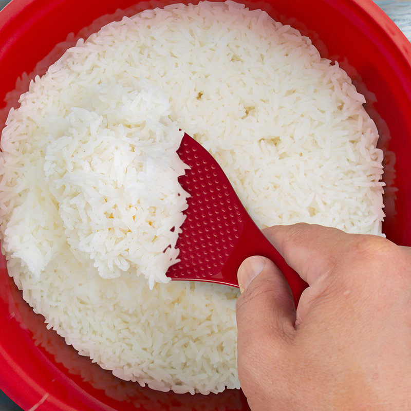 Ensemble de 4 bols à riz éternels 4 pièces