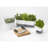 Cole & Mason Self Watering Fresh Herb Keeper Plastic Pot Planter