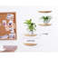 Tablette flottante en bois 4 pièces Dahianna