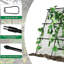 Plant Stand